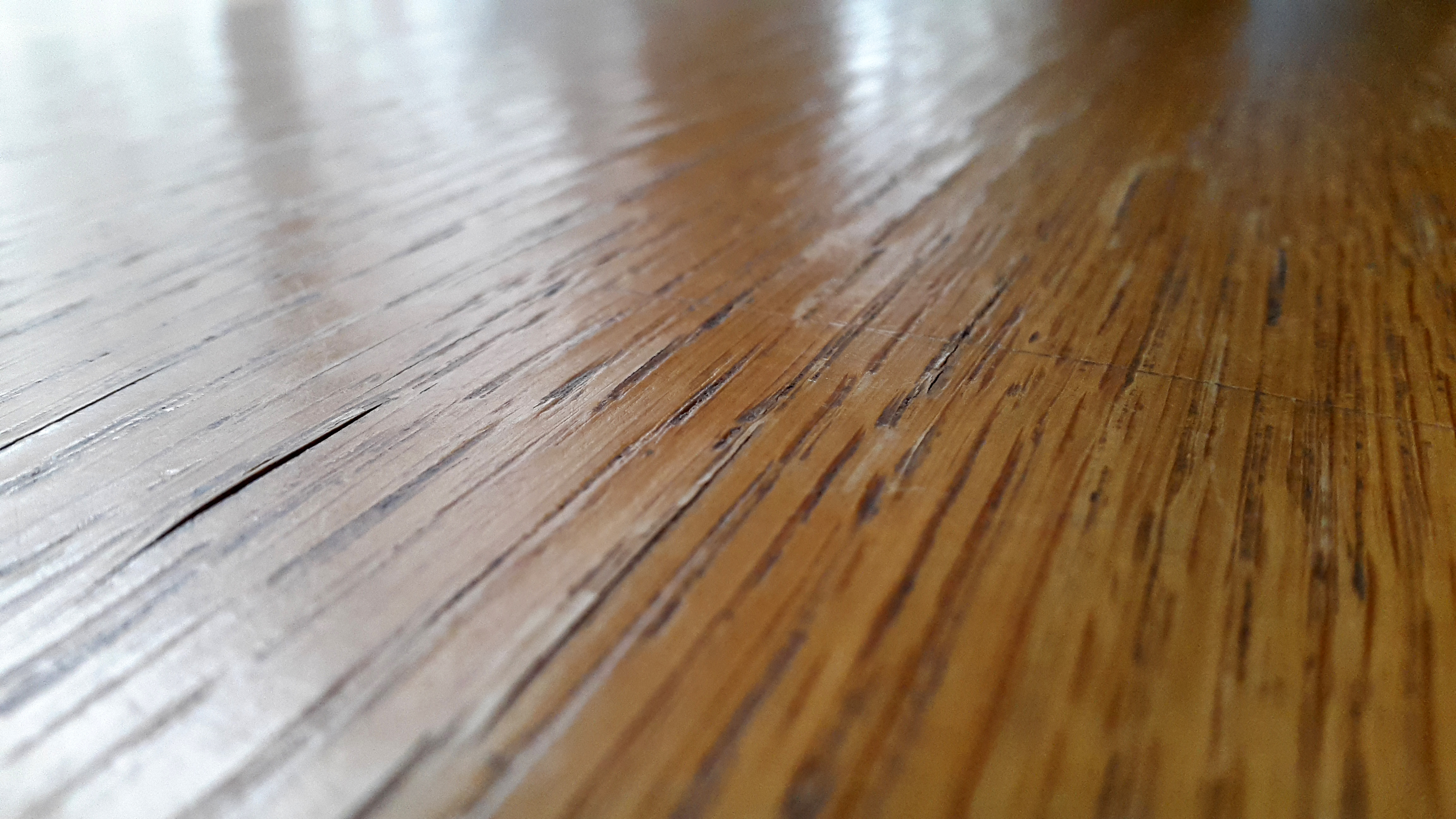 Floor Waxing